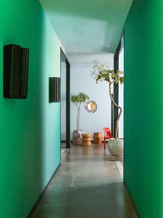 Green hallway