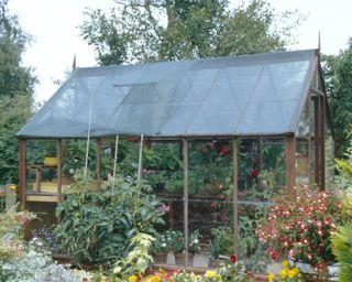 Greenhouse in a garden with netting on the roof to protect plants from scorching sun