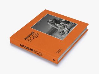 Magnum Dogs book March 2021 image 5