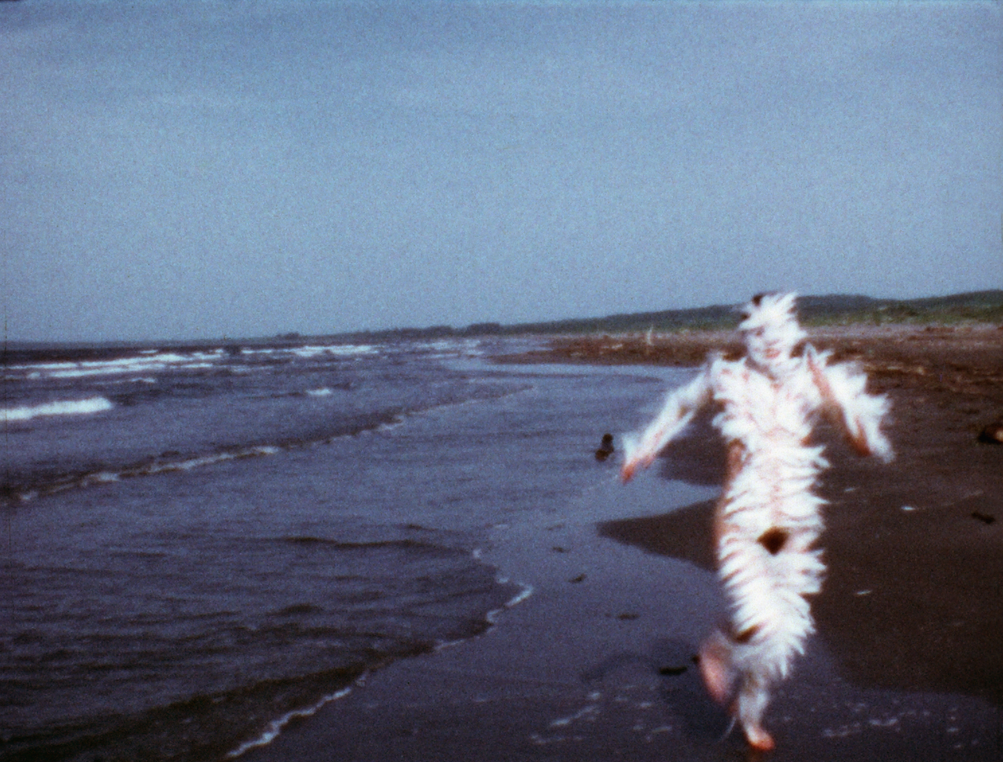 Ana Mendiata works currently on show at the Tate, London