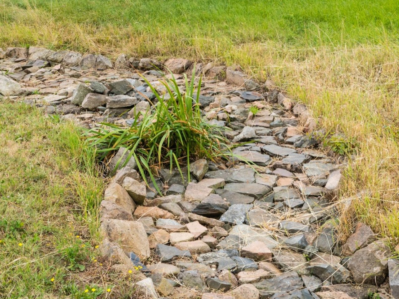 A dry rock-line creek bed in a field