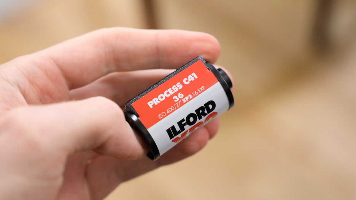 Ilford XP2 Super 35mm Film Review: Where Black And White Meets Color ...