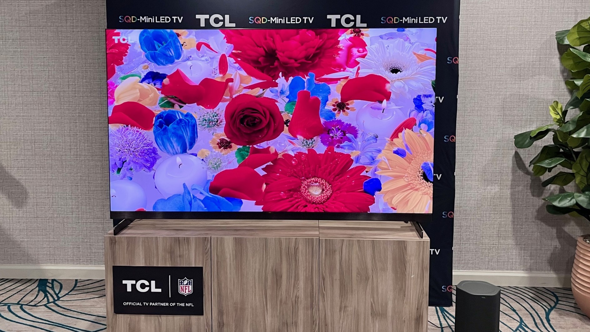 TCL X11L showing image of red and yellow flowers
