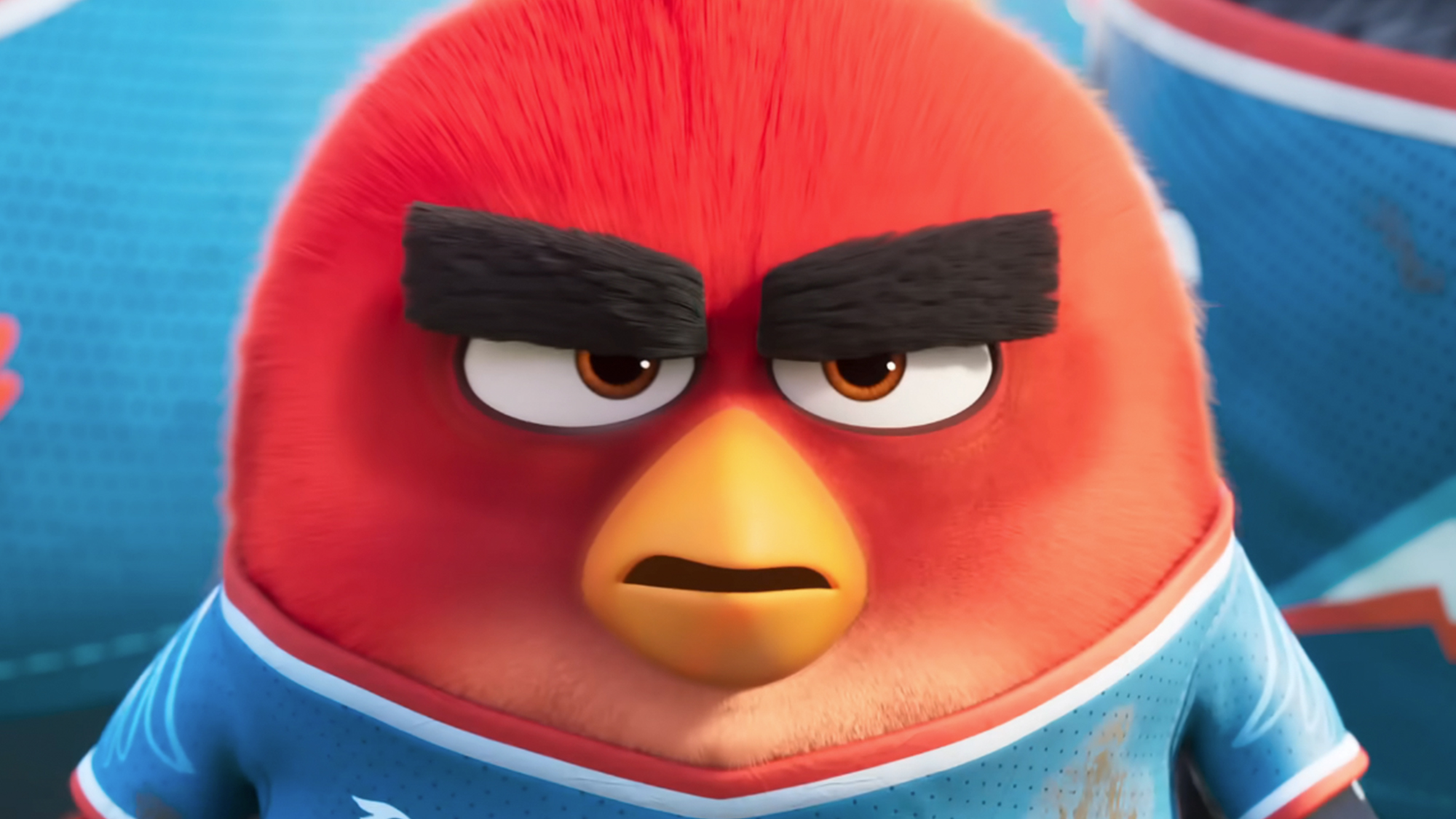 A close up of an angry red bird in Angry Birds 3