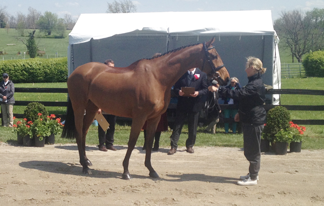 Zara Phillips and High Kingdom at the first horse inspection, Rolex Kentucky 2015