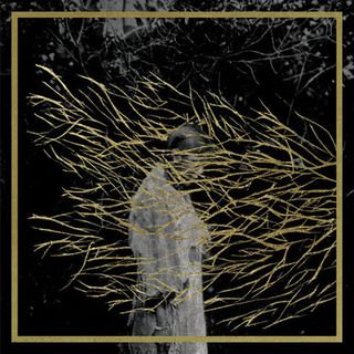 album artwork of the week: forest swords