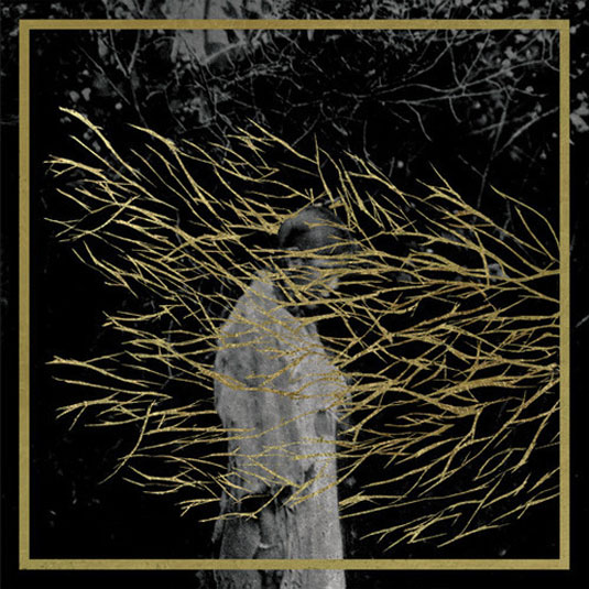 album artwork of the week: forest swords