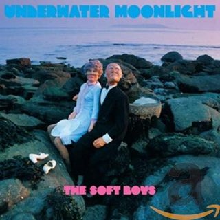 Released in 1980, Underwater Moonlight is the Soft Boys' second studio album