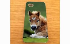 case-foal-ebay.jpg