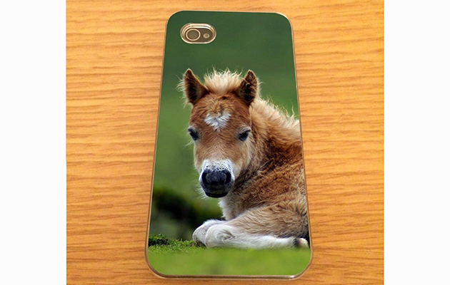case-foal-ebay.jpg
