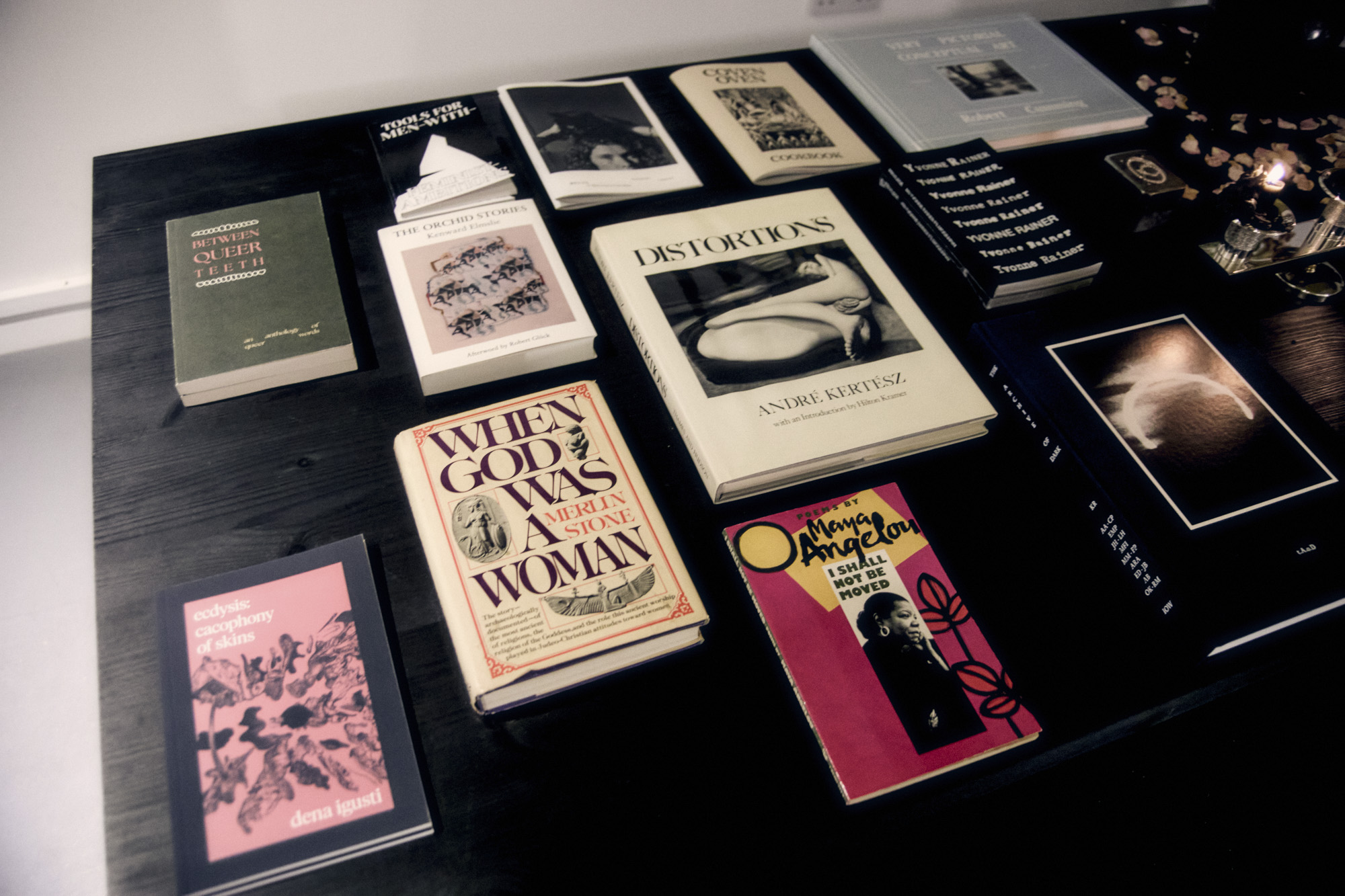 Studio Nocturne book collection