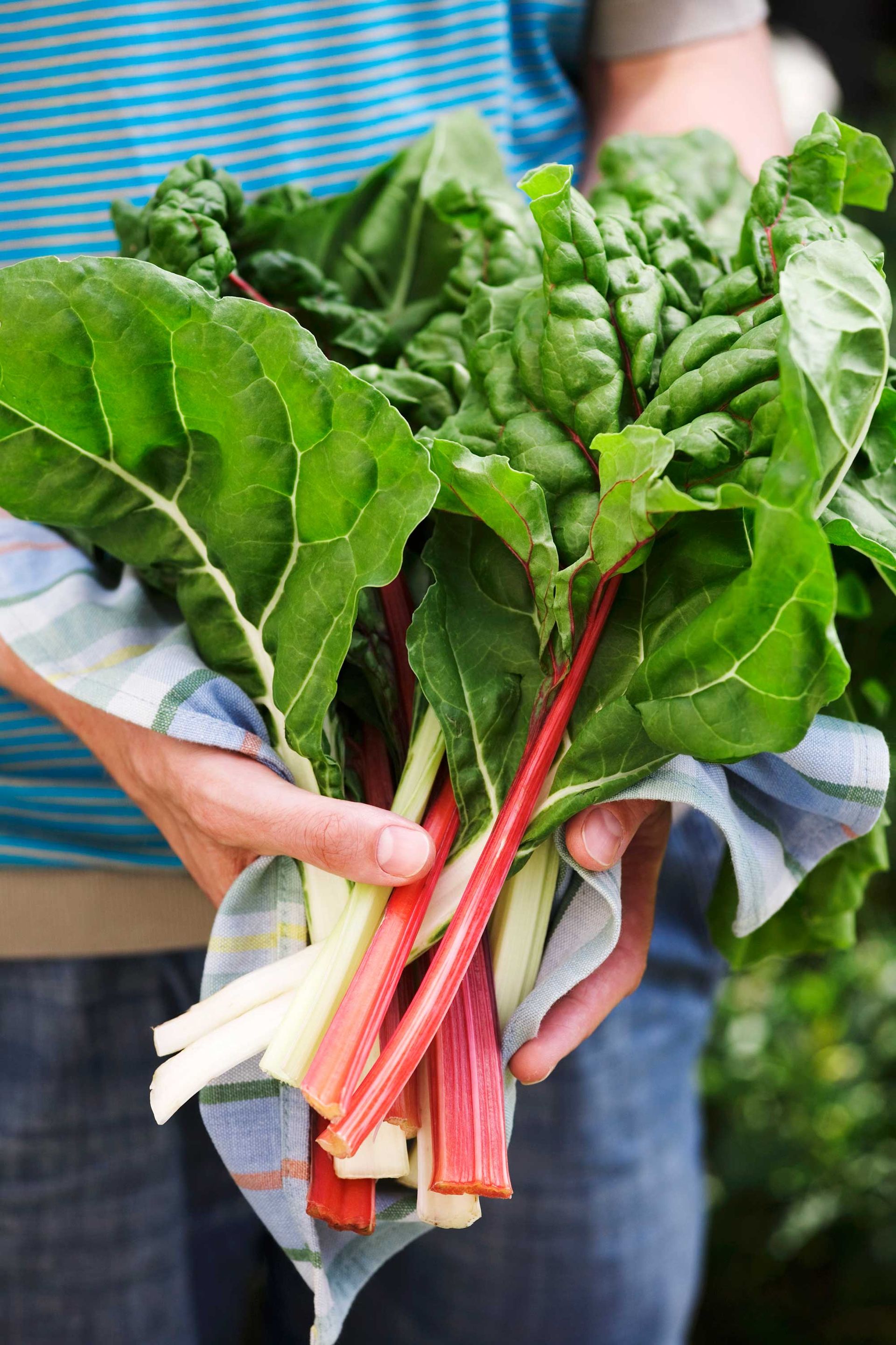 Vegetables to plant in July: 10 crops to sow and grow this month 5 rainbow chard freshly picked