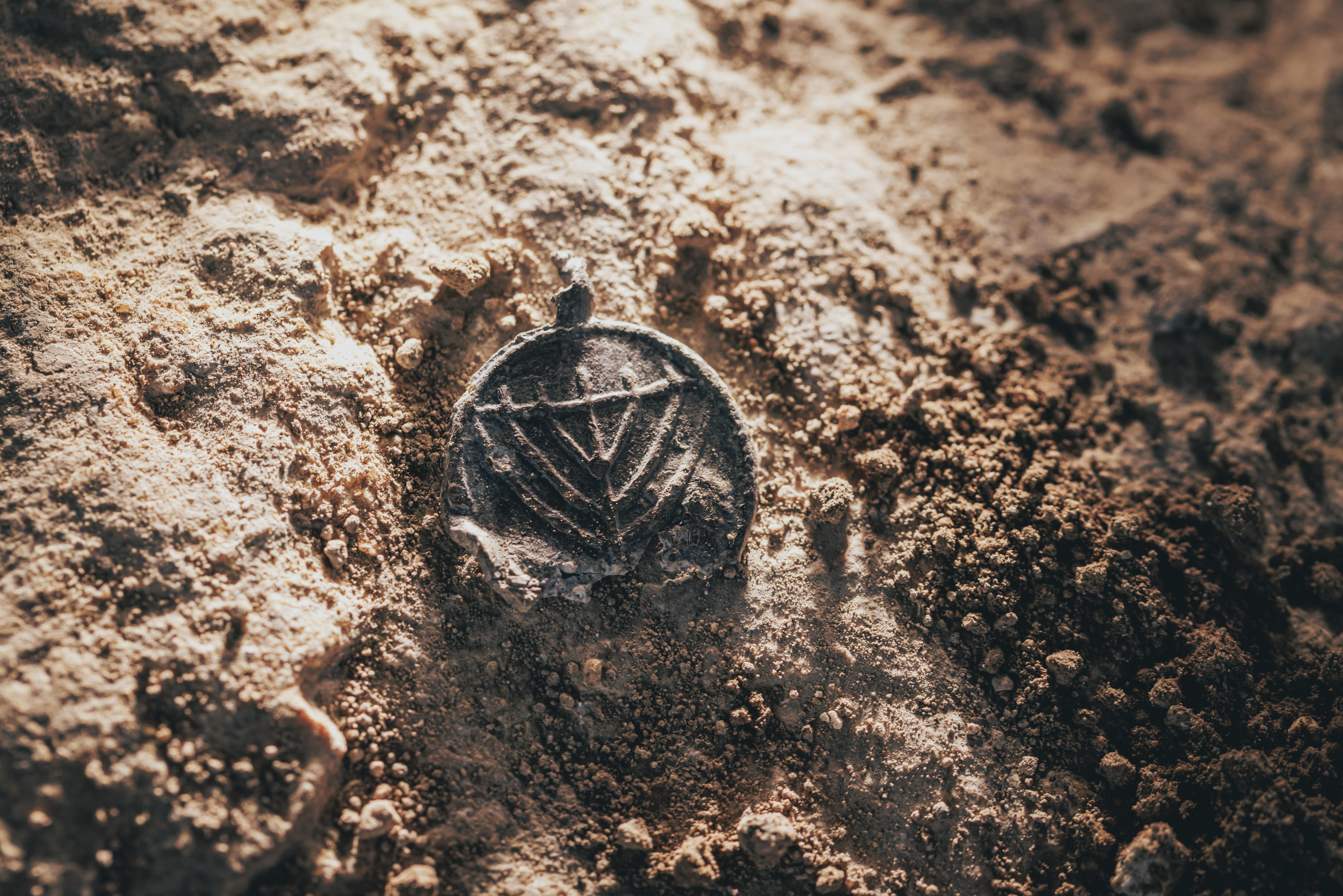 Rare medallion photographed on the top of the ground.