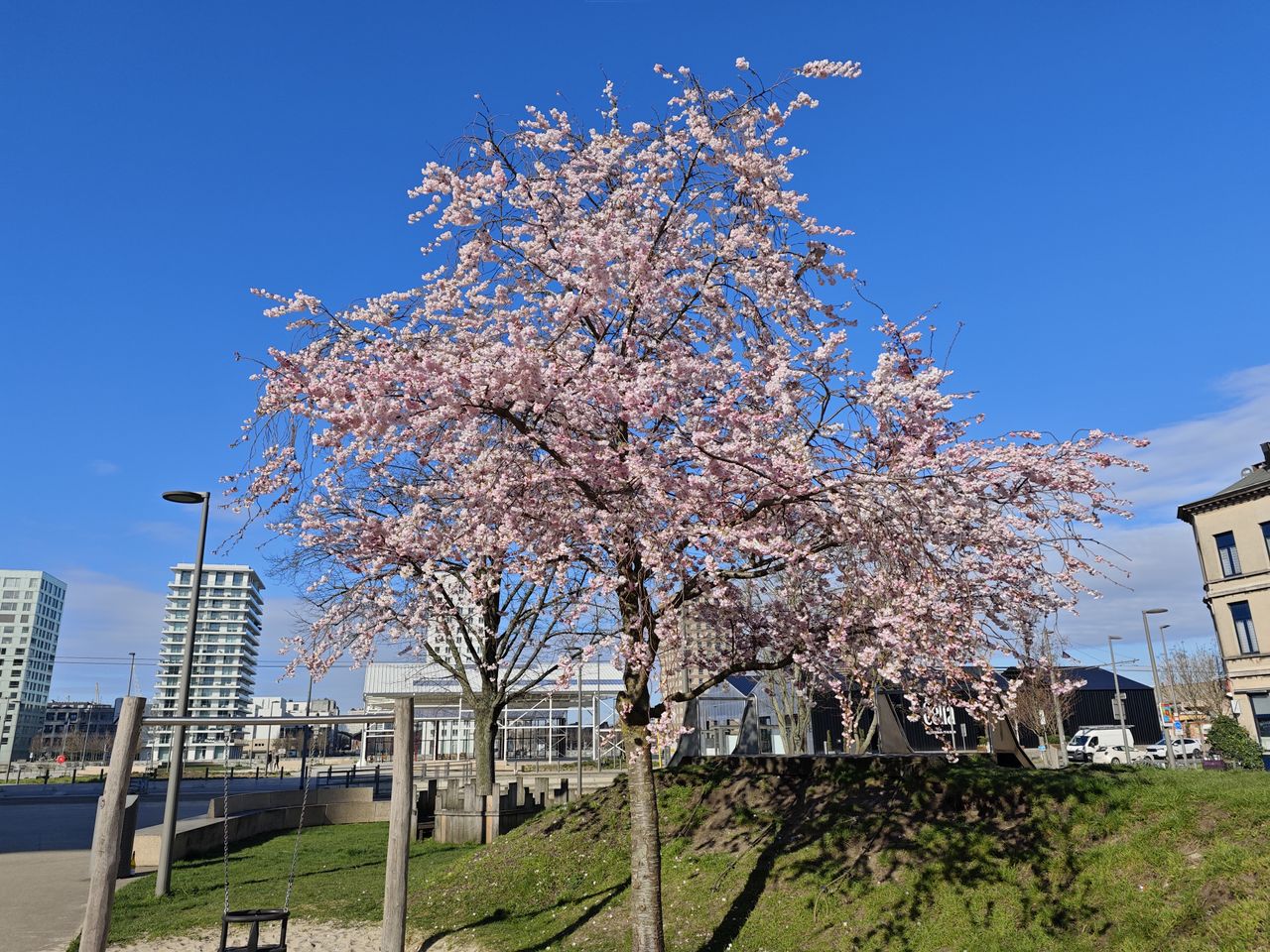 Xiaomi 14 camera