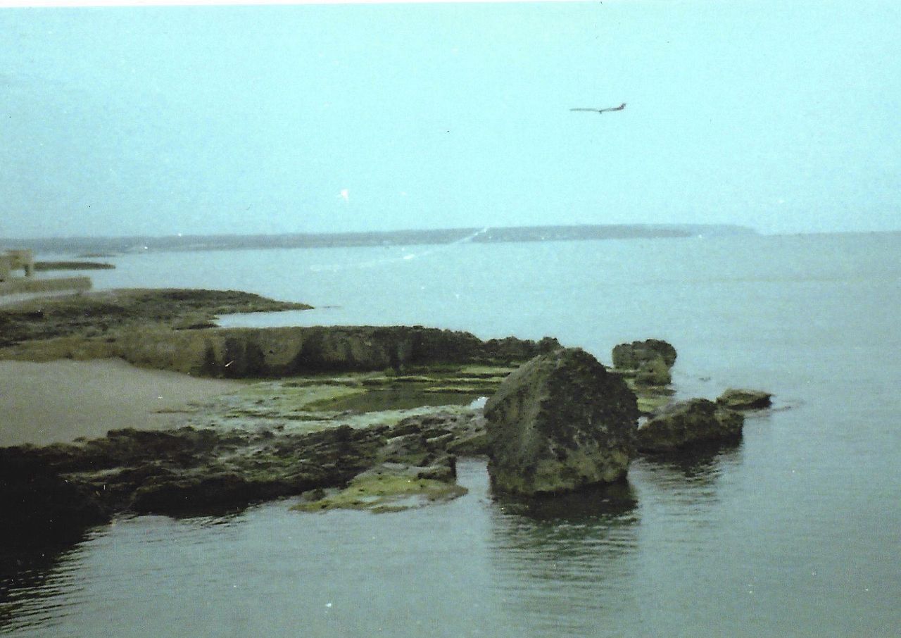 A scan of a print that was made using 110 film taken with the Lomography Lomomatic 110 film camera