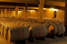 Mas de Daumas Gassac barrel room, Languedoc
