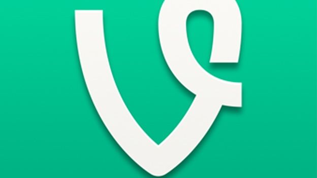 Vine