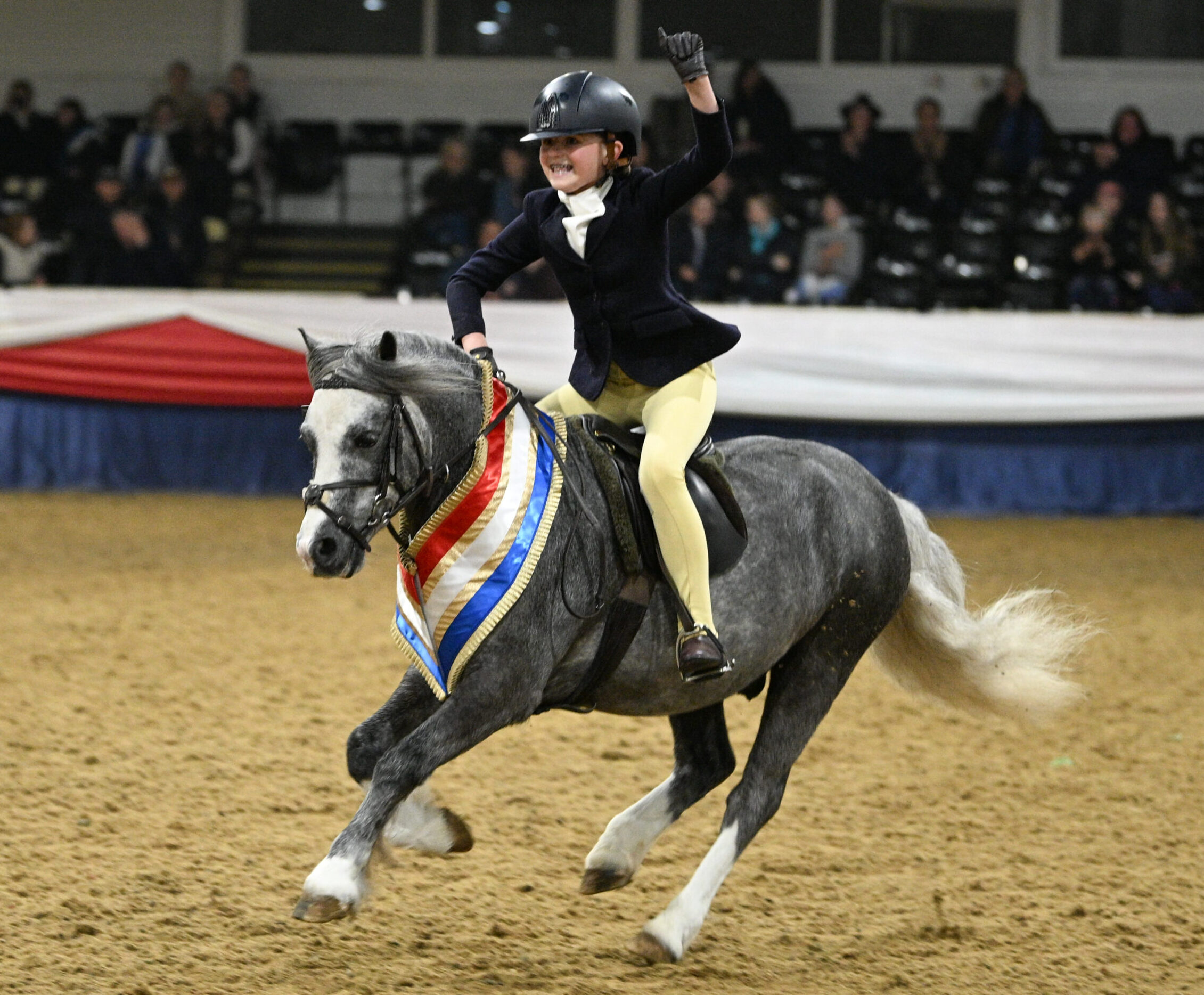 Rhwngddwyafon and Millie Doherty are junior working hunter pony champions and Millie punches the air as the pair canter down the centre line at the 2026 BSPS Winter Championships