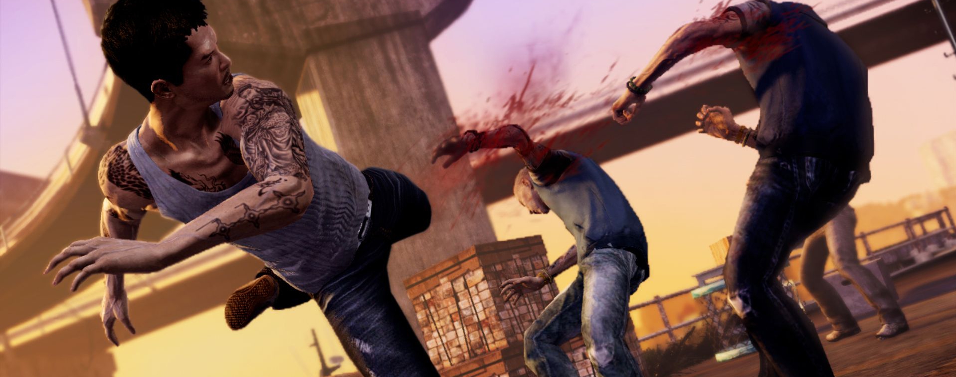 Sleeping Dogs release date, limited edition detailed