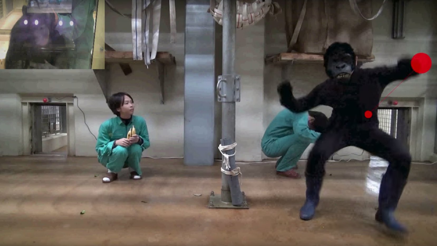 These researchers filmed themselves dressing as apes and terrorising humans, for science