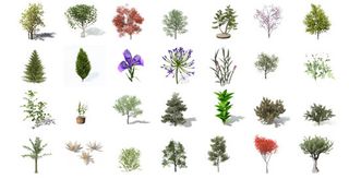 3D model selection of a range of plants