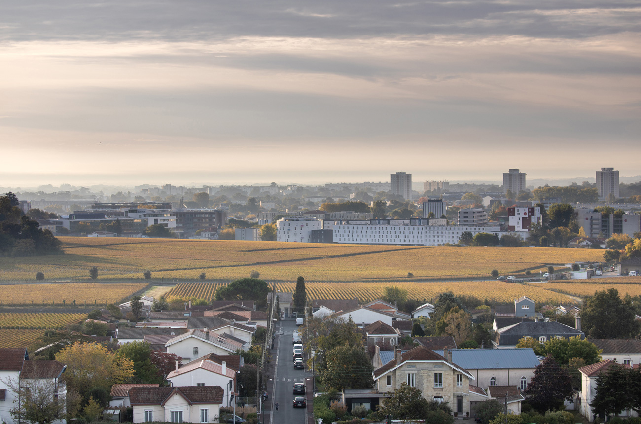 Pessac Leognan Bordeaux vineyards