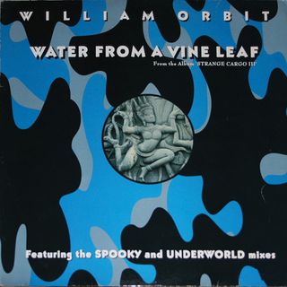 William Orbit - Water From A Vine Leaf
