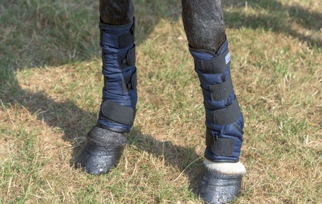 Best cool boots for horses: Felix Buhler Cold Water Boots review