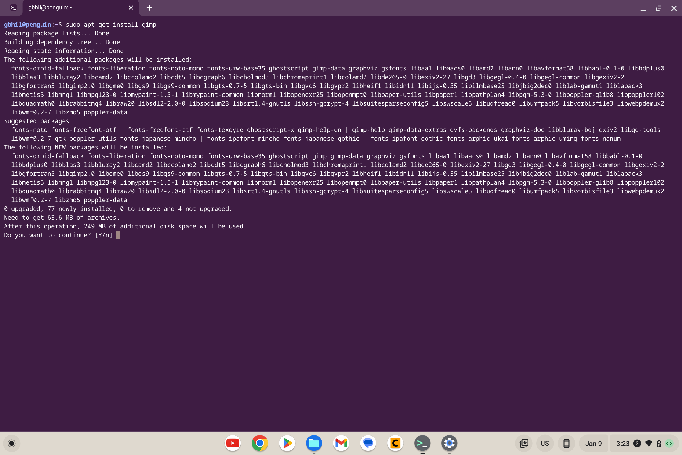 Terminal Linux no Chromebook