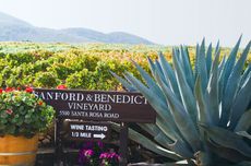 Top santa barbara wines