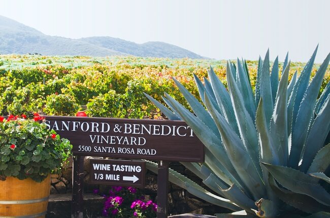 Top santa barbara wines