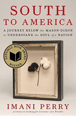 South to America: a Journey Below the Mason-Dixon to Understand the Soul of a Nation book cover with a framed cotton plant