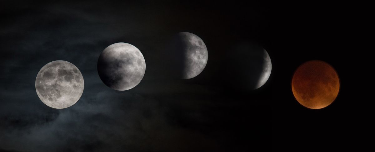 NASA Scientist's Tips to See the Super Blue Blood Moon Lunar Eclipse ...