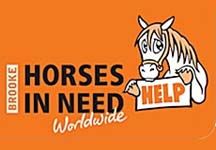 horseinneed.jpg