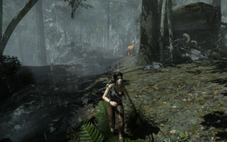 Tomb Raider - 2560x1600, max settings - At 3840x2400, Tomb Raider chugged at sub 30 fps, but there's a lot of post-processing and floppy hair physics in that game. Dropping the res down ensured a solid 60+ fps without issue.