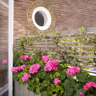 garden area with bricked wall and flower plants