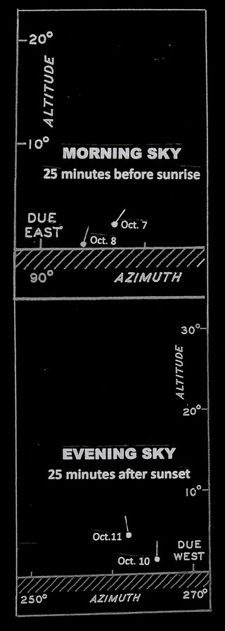 a diagram showing the morning and evening sky and where to see a comet.