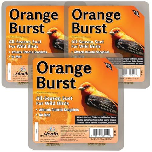 Heath Outdoor Products Orange Burst Suet Cakes Sample Pack, Contains 3 Suet Cakes, Try It, Your Birds Will Love It, for Woodpeckers, Cardinals, Siskins, Sparrows, Finchs & Many More Wild Bird Species