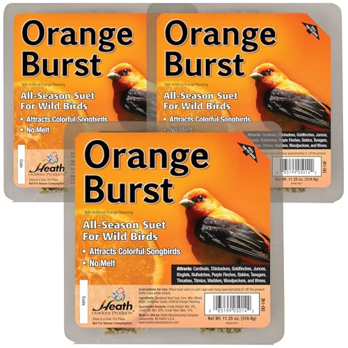 Heath Outdoor Products Orange Burst Suet Cakes Sample Pack, Contains 3 Suet Cakes, Try It, Your Birds Will Love It, for Woodpeckers, Cardinals, Siskins, Sparrows, Finchs &amp;amp; Many More Wild Bird Species