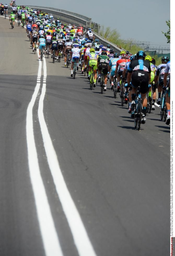 White line fever