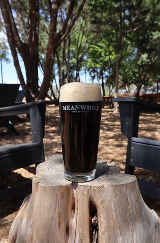 A dark beer in a wide tall glass stands on a pale stump in a sunny, shaded outdoor setting.