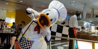 Donald Duck at Walt Disney World's Chef Mickey's