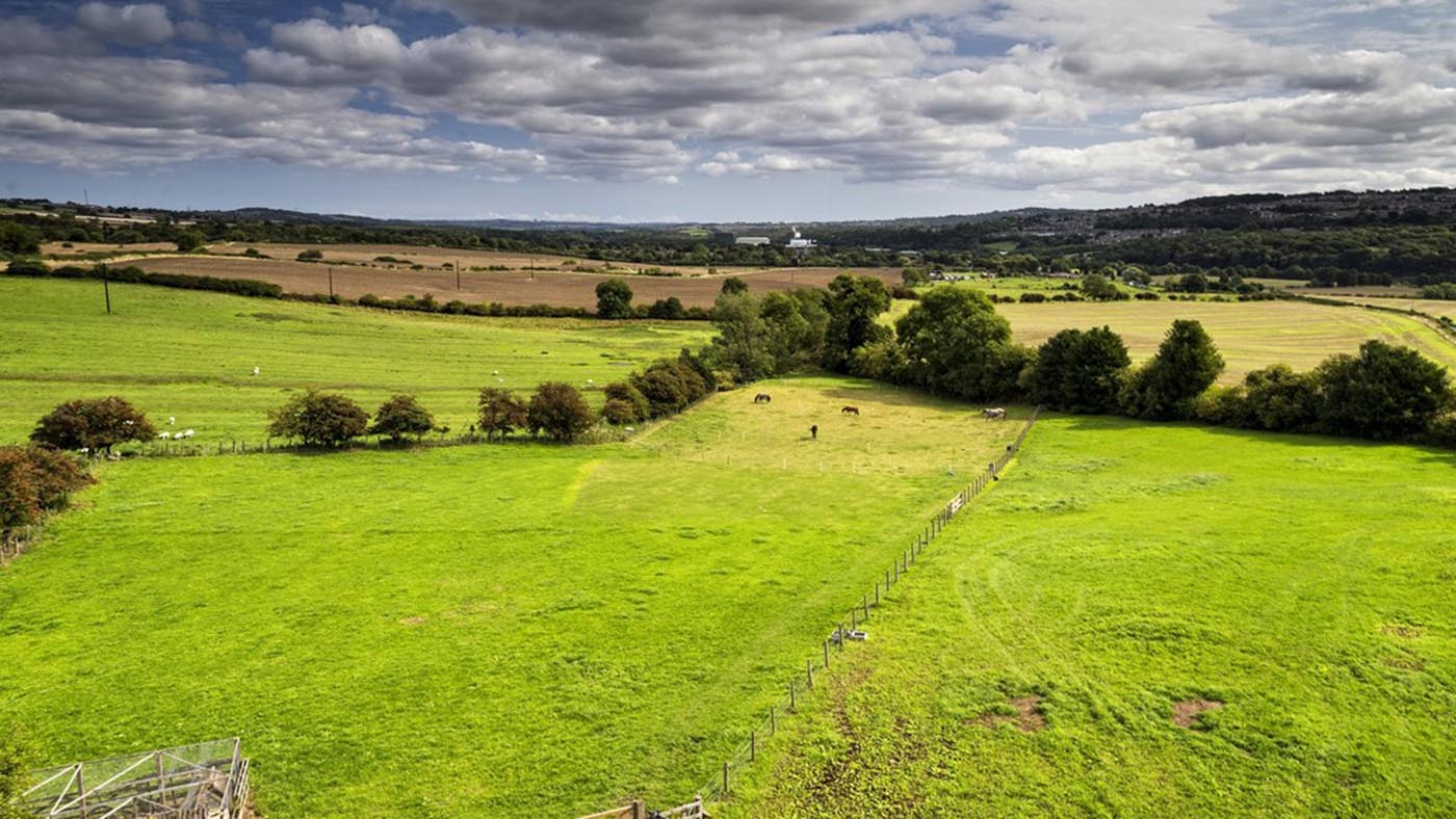Ovington House Equestrian Facilities (2)