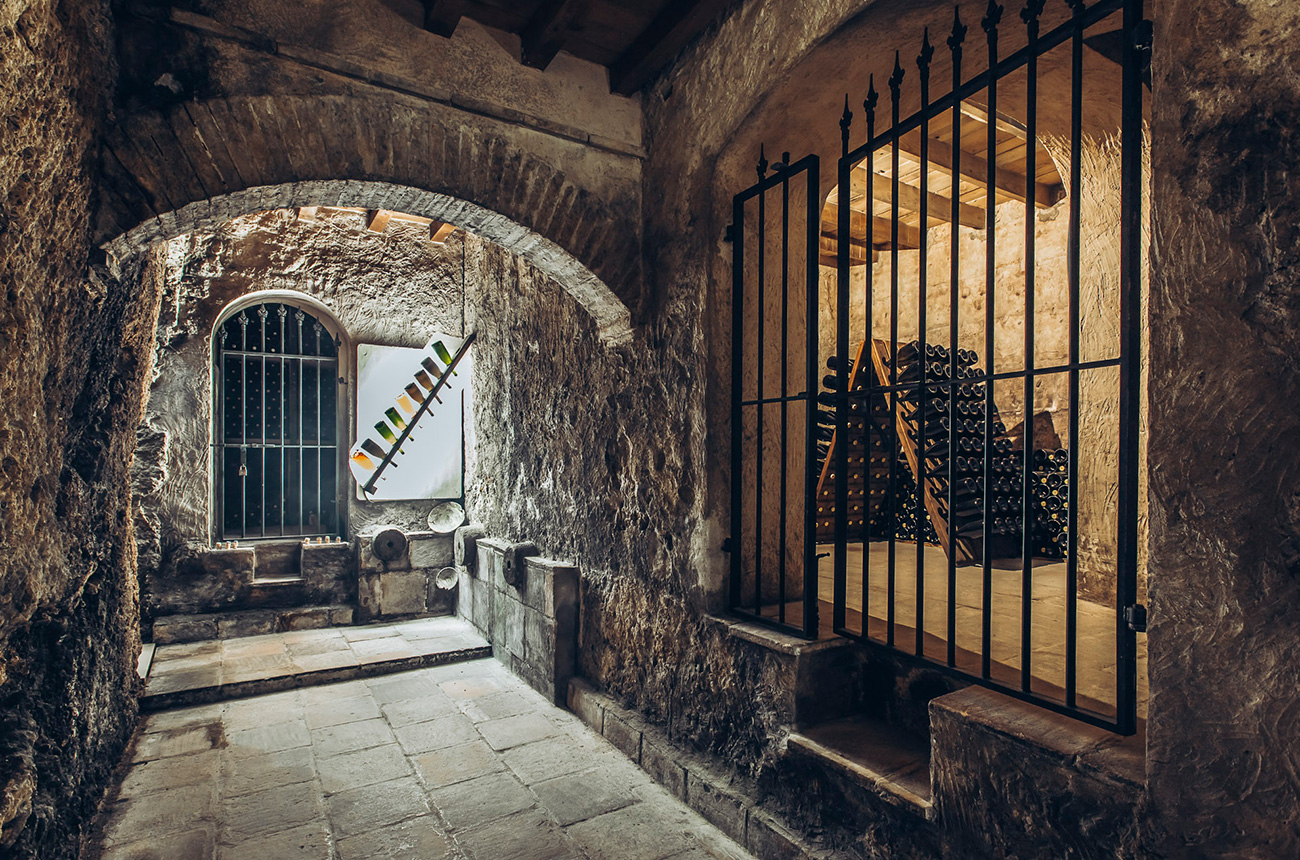 Pago-de-Tharsys-cellar.jpg