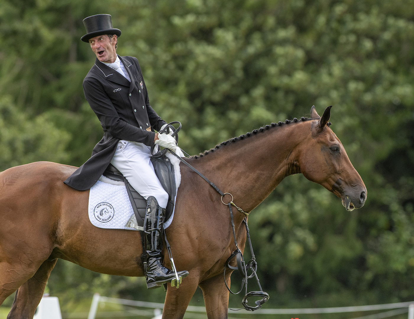 MTBridle2.jpg