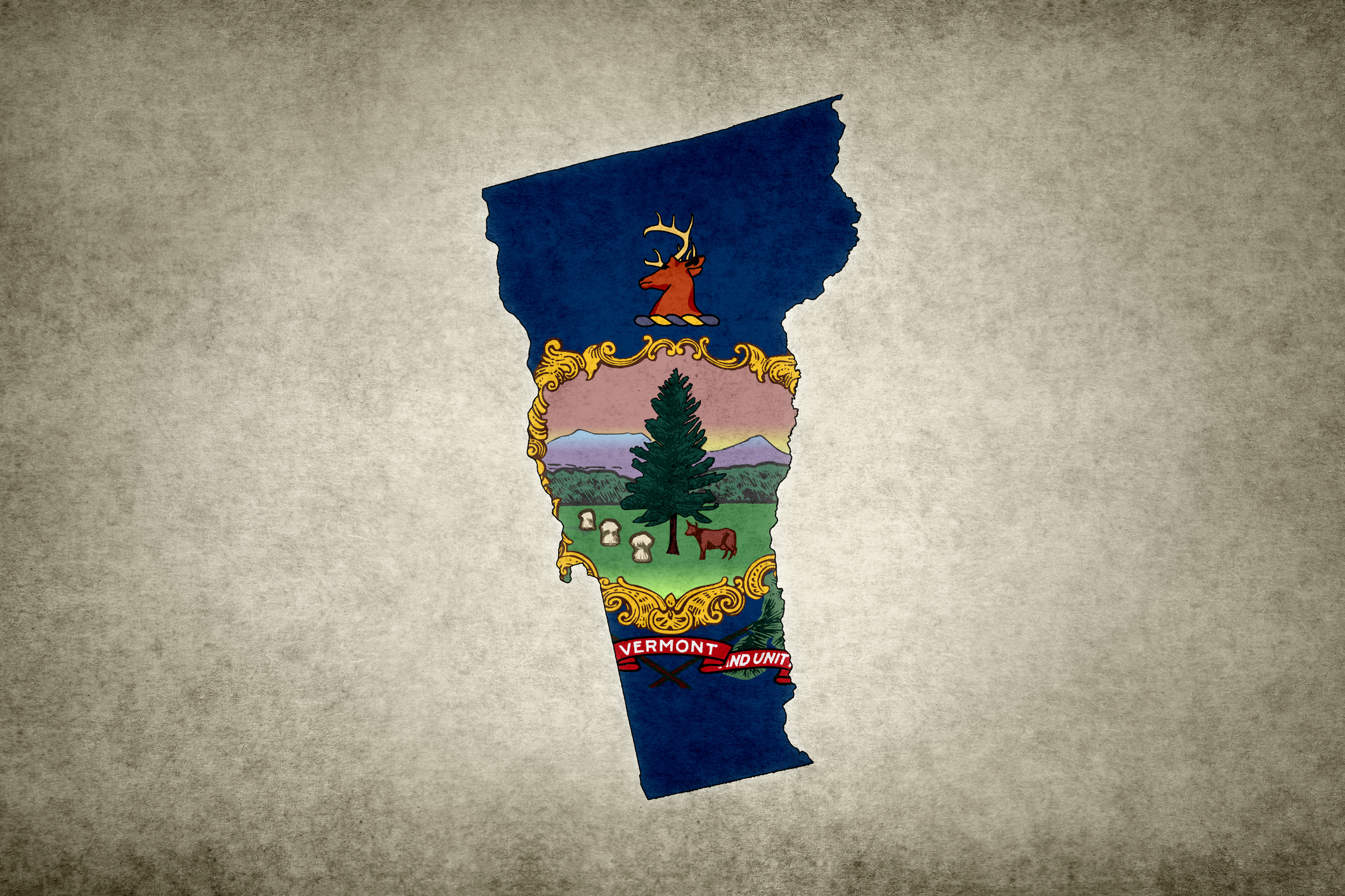 Grunge map of the state of Vermont (USA) with its flag printed within its border