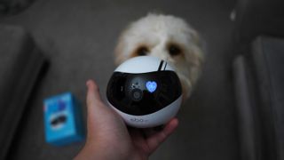 Enabot EBO SE: Smart Companion, Pet & Home Security Robot - Review 