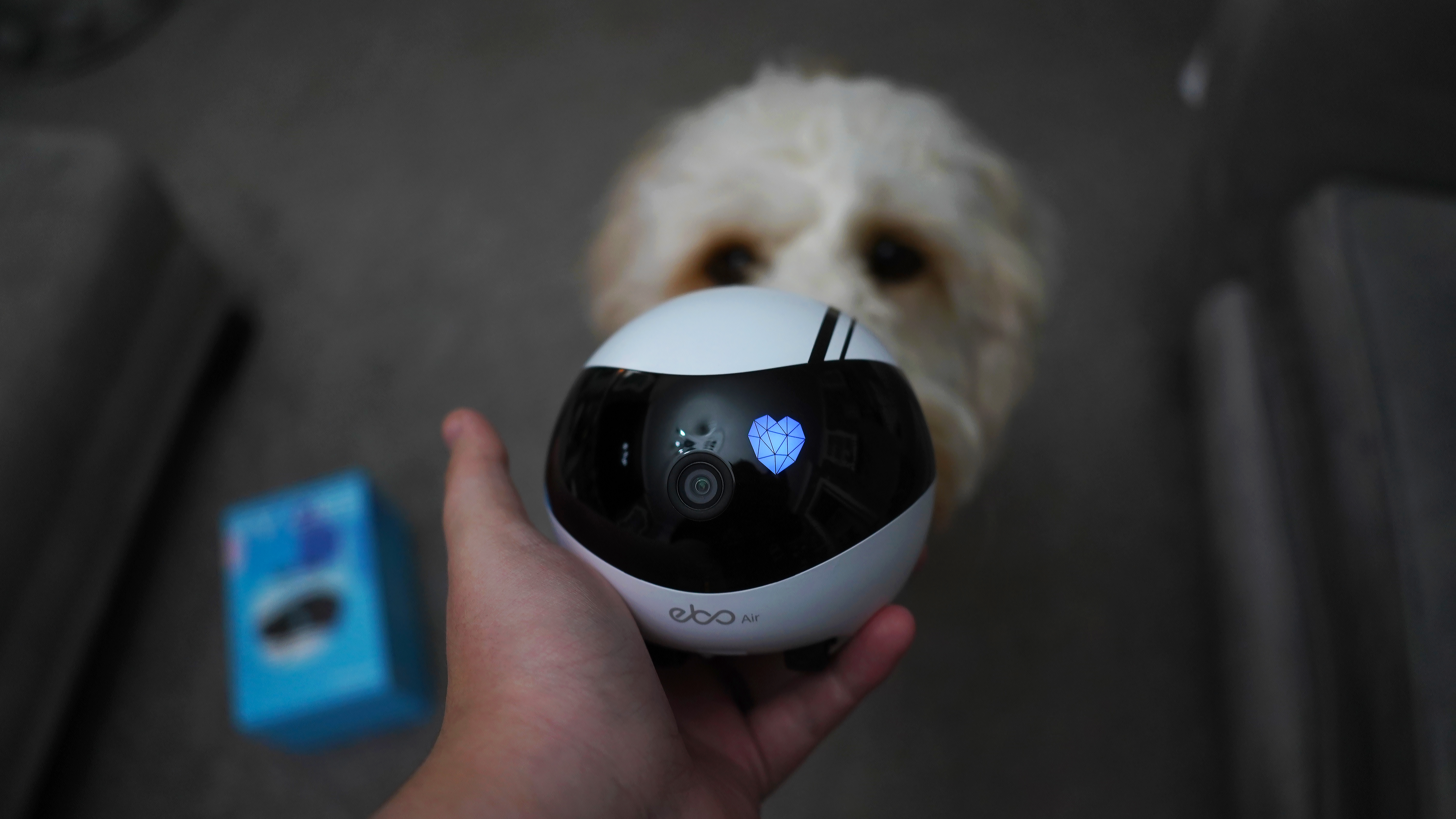 Shining Mastery kompensere Enabot EBO Air review: An adorable robot pet camera | Digital Camera World