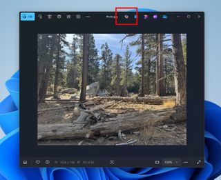 Microsoft Photos app on Windows 11 with the new Copilot button