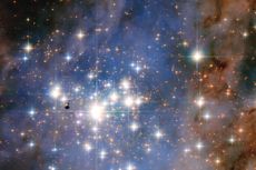 Dazzling Diamonds of Trumpler 14
